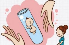 体外胚胎培养分为哪些阶段？为什么会收两次费用？