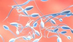 精子密度低影响男性生育吗？要怎么治疗？