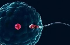 子宫内膜厚度6mm有什么影响?这样的厚度可以试管移植成功吗?
