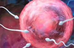 精子成活率低是怎么影响怀孕的？要注意什么？