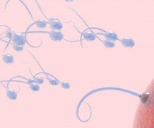 什么是精子活跃度？多少算是正常？