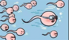 少精子症“逆袭”之路：多久能圆育儿梦？弱精调理后，何时迎接宝宝