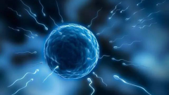 精子“变形记”：畸形率高的治疗与调理秘籍