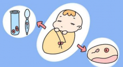 美国试管新篇章：单身男士也能合法“播种”，生育梦想触手可及！