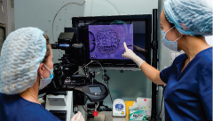 想去乌克兰做三代试管，建议先了解清楚流程