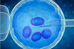 了解俄罗斯三代试管完整过程，帮助你达成生育梦想