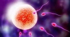 想要去乌克兰做试管男孩？需要准备多少预算才够？
