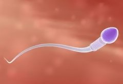 精子少影响男性生育能力吗?为什么会出现精子少的情况?