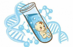探索试管与正常婴儿的奥秘：差异与相似点全解析