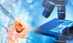 多囊卵巢遇上试管？别急，掌握这些“小秘诀”让你事半功倍！