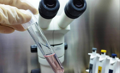 “多囊”能否开启试管之旅？成功率究竟如何？揭秘多囊卵巢与试管的