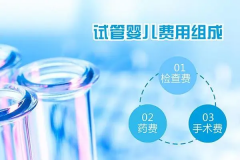 试管2024年费用一览，总共需要多少钱？