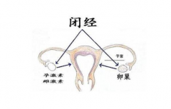 女性闭经后能否做试管要看具体情况，并非完全不可能