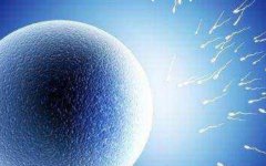 重庆试管水平怎么样?重庆试管技术的优势有哪些?