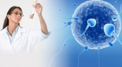 鞍形子宫如何影响试管?鞍形子宫能做试管吗?