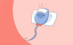 男性不育的魔咒能破解吗？揭开不孕不育男生的隐藏症状！