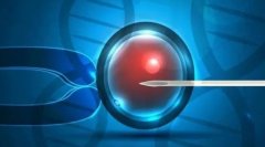 在马来西亚这样做三代试管比较可靠