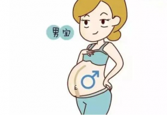 陕西供卵试管包生'男'孩费用参考：预算约15-30万元！