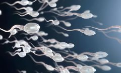吃什么可以提高精子活力?精子活力如何提升?