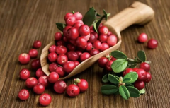 蔓越莓：子宫肌瘤的“小助手”？揭秘其对肌瘤的潜在益处！