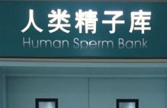 精检一般要看哪些指标？正常参考值是多少？
