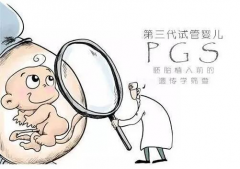 试管选性别如何提高成功率，方法主要有这些