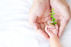 泰国试管2024版攻略：让你省心、省力、更省钱！