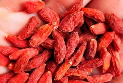 枸杞有什么作用?能够有效缓解子宫肌瘤吗?