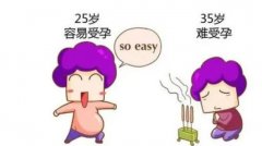高龄借卵试管成功率有多高？影响高龄女性因素有哪些？