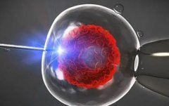 韶关供卵试管生'男'孩成功率有多高？需几次尝试能成功怀上？