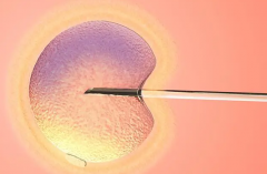 【科普】囊胚移植全面详解，包括过程、安全性等相关问题