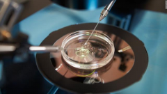 试管受精IVF技术哪一步决定孩子性别，由受精过程决定