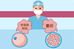 囊胚移植能提高试管成功率，生化率有多高呢？