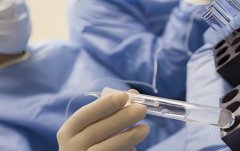 试管优胚是什么?试管优胚技术怎么样?