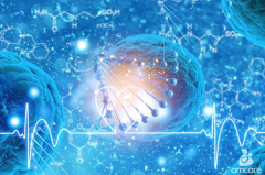 输卵管治疗VS试管：了解差异，明智选择