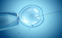 试管移植子宫哪个部位最好？有什么缺点吗？