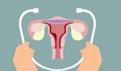 试管时内膜需要多厚?内膜有什么作用?