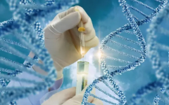 试管移植后刺痛背后的真凶：手术不当或隐藏的健康隐患