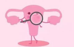 子宫决定女性生育能力，子宫切除的这些影响还需了解