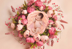 泰国借卵试管费用明细，总的来说费用适中