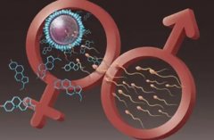 试管选男女违法吗?试管选男女需要多少钱?