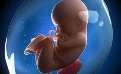 重庆试管技术怎么样?重庆试管技术能选性别吗?