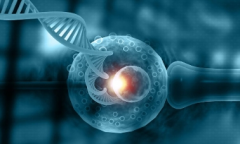 试管之旅淡定前行！羊水穿刺？NO！我们有更温柔的方式守护宝宝安全降