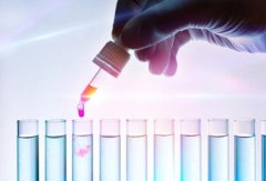 试管胚胎移植，选择哪个时间点更有利？