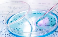 第三代试管可以排除哪些遗传病