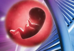 50岁做试管风险大吗？高龄做试管一定要了解清楚