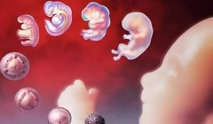 哪家医院试管比较靠谱?试管哪家口碑不错?