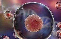 试管技术怎么样?怎么判断试管技术不错?