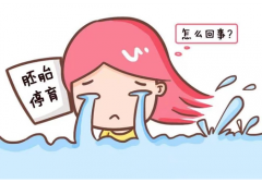 试管的“敏感期”：何时需特别守护，避免胎停！