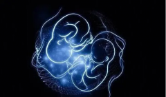 试管最多能试几次，你知道吗？